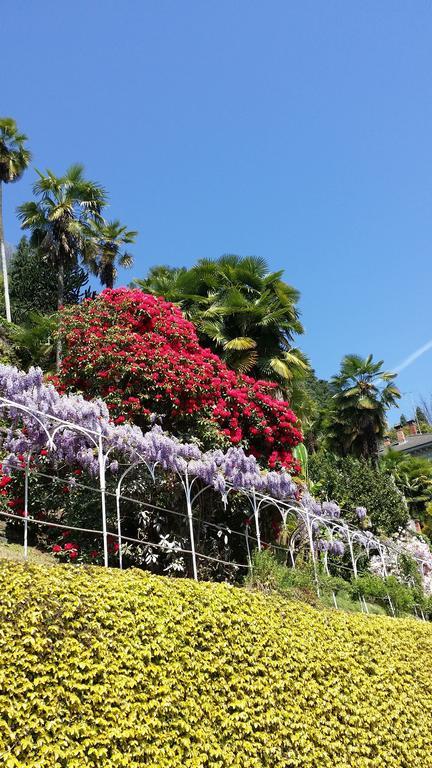 Appartamenti Orta Orta San Giulio Habitación foto