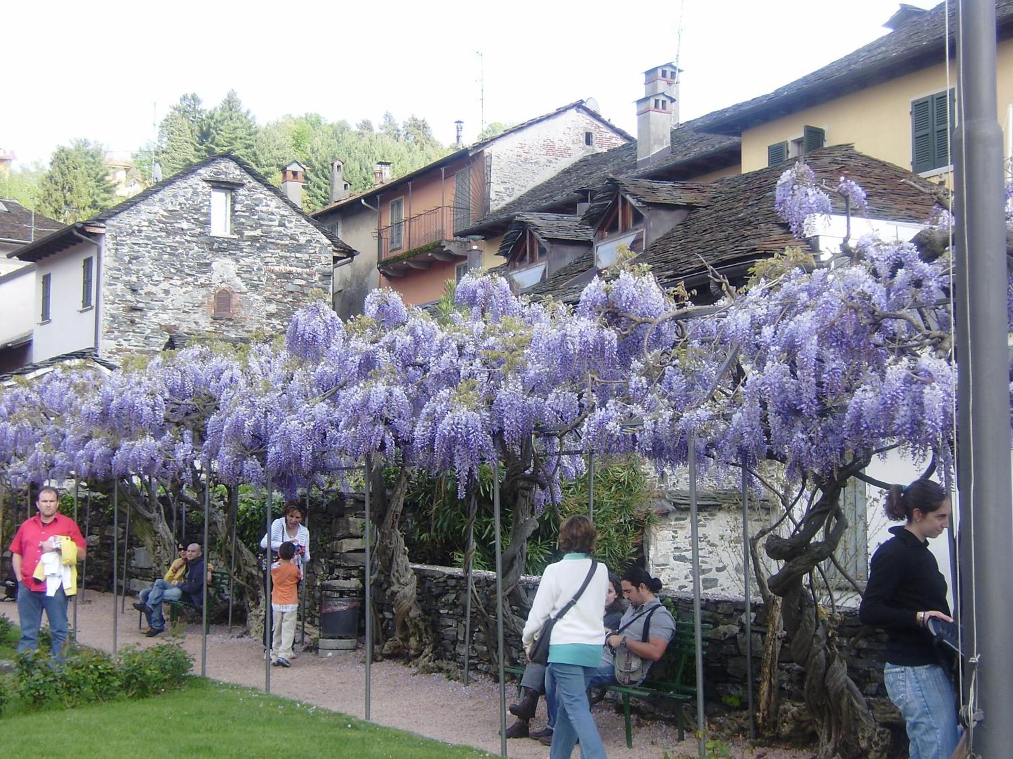 Appartamenti Orta Orta San Giulio Exterior foto